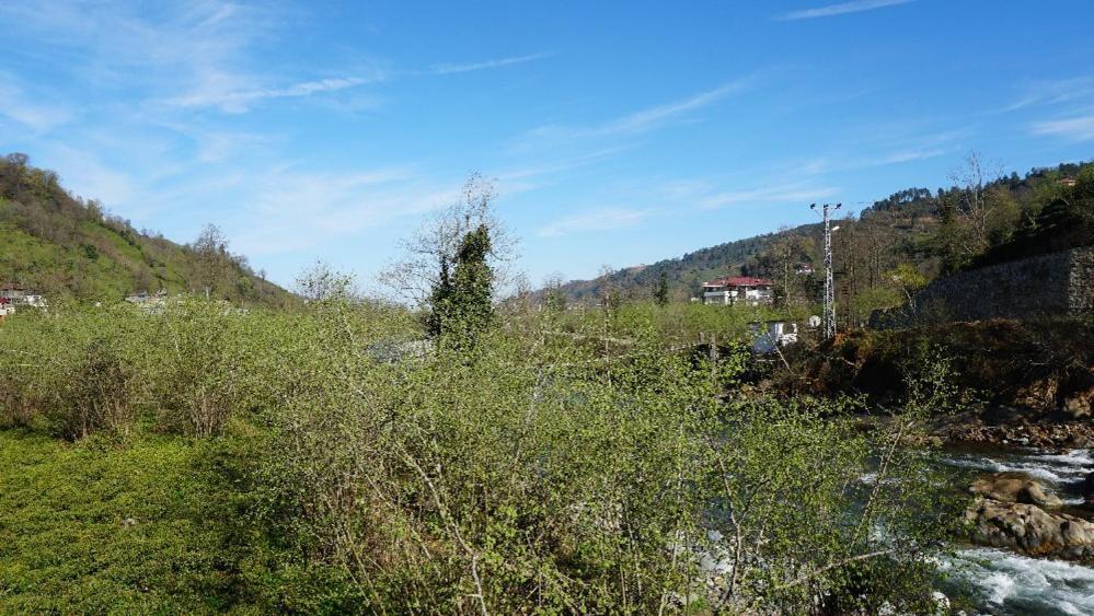 Yesil Dues Tatil Koeyue Findikli (Black Sea) Buitenkant foto